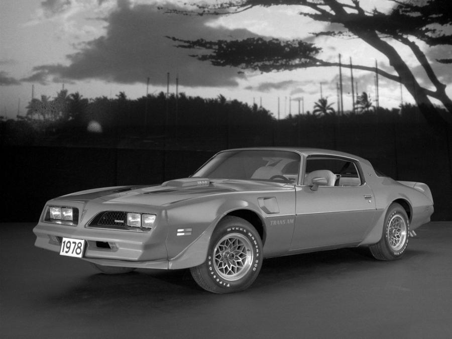  Pontiac Firebird Trans Am 1978 года  (фото 2 из 4)